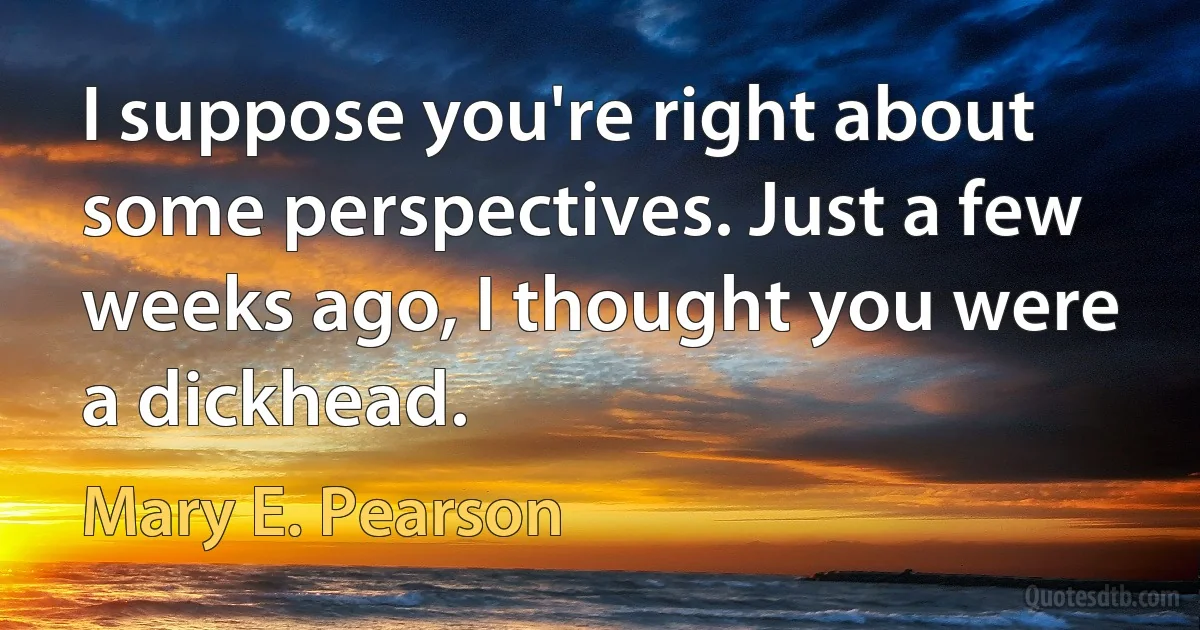 I suppose you're right about some perspectives. Just a few weeks ago, I thought you were a dickhead. (Mary E. Pearson)