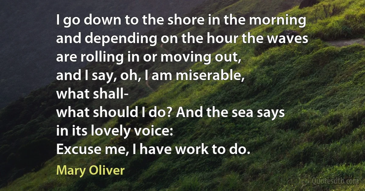 I go down to the shore in the morning
and depending on the hour the waves
are rolling in or moving out,
and I say, oh, I am miserable,
what shall-
what should I do? And the sea says
in its lovely voice:
Excuse me, I have work to do. (Mary Oliver)