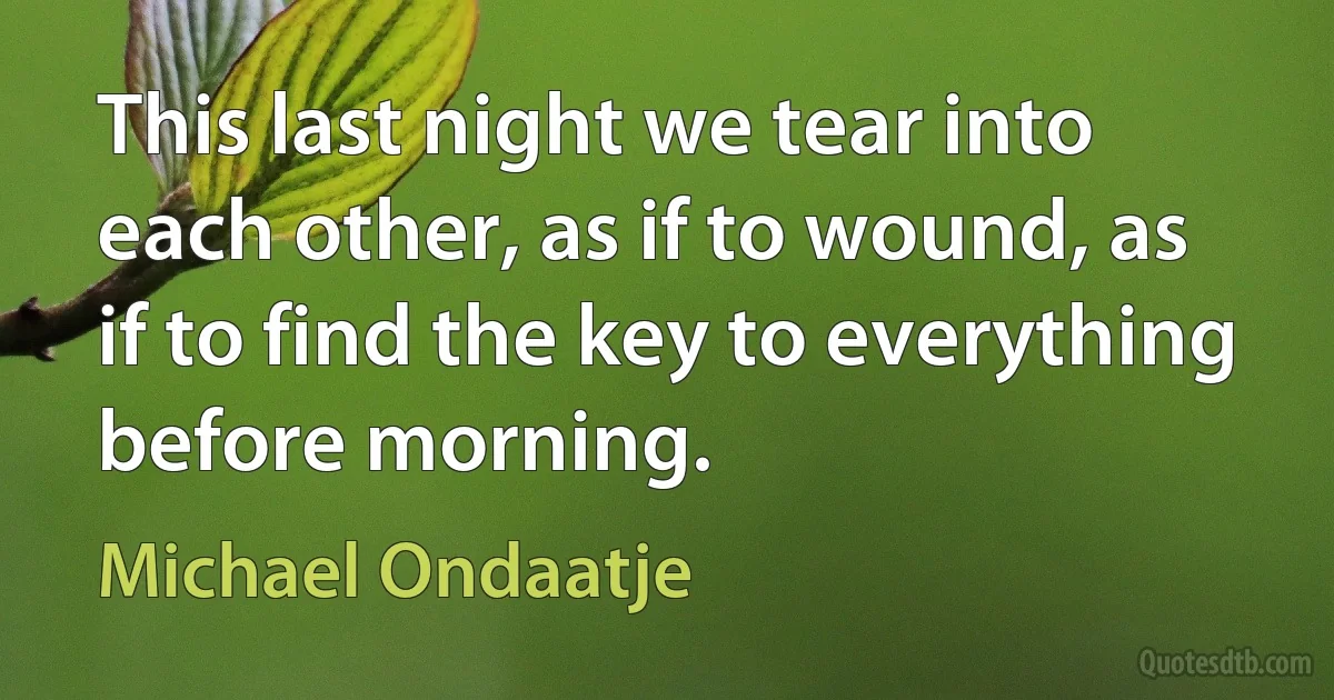 This last night we tear into each other, as if to wound, as if to find the key to everything before morning. (Michael Ondaatje)