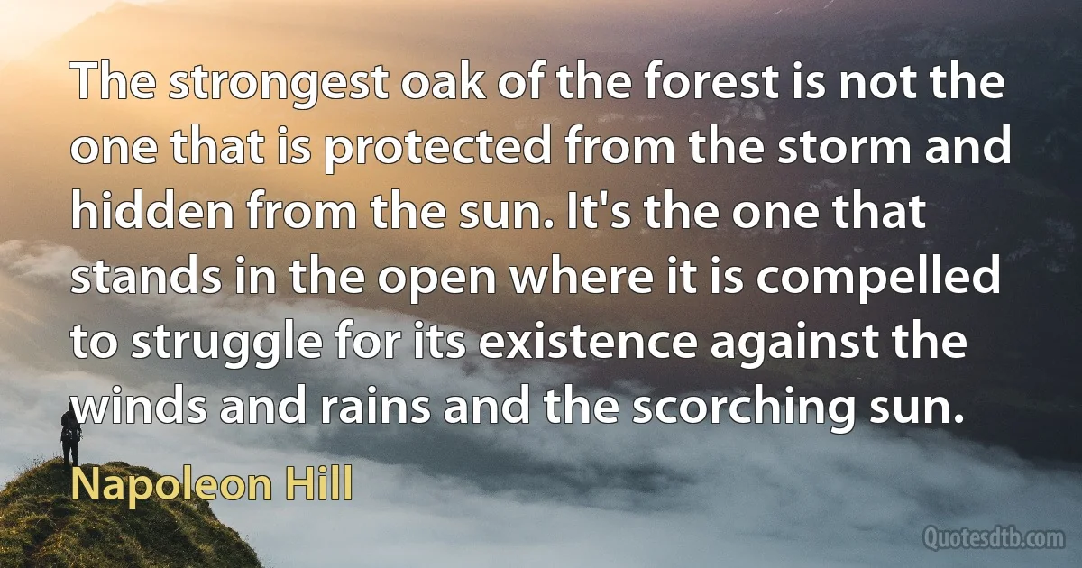 The strongest oak of the forest is not the one that is protected from the storm and hidden from the sun. It's the one that stands in the open where it is compelled to struggle for its existence against the winds and rains and the scorching sun. (Napoleon Hill)