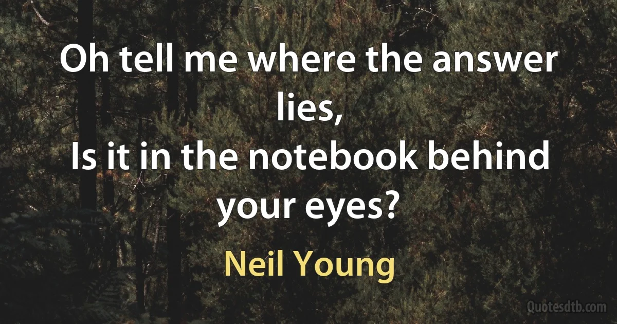 Oh tell me where the answer lies,
Is it in the notebook behind your eyes? (Neil Young)