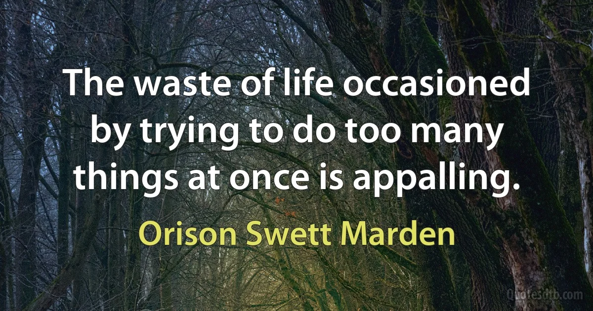 The waste of life occasioned by trying to do too many things at once is appalling. (Orison Swett Marden)