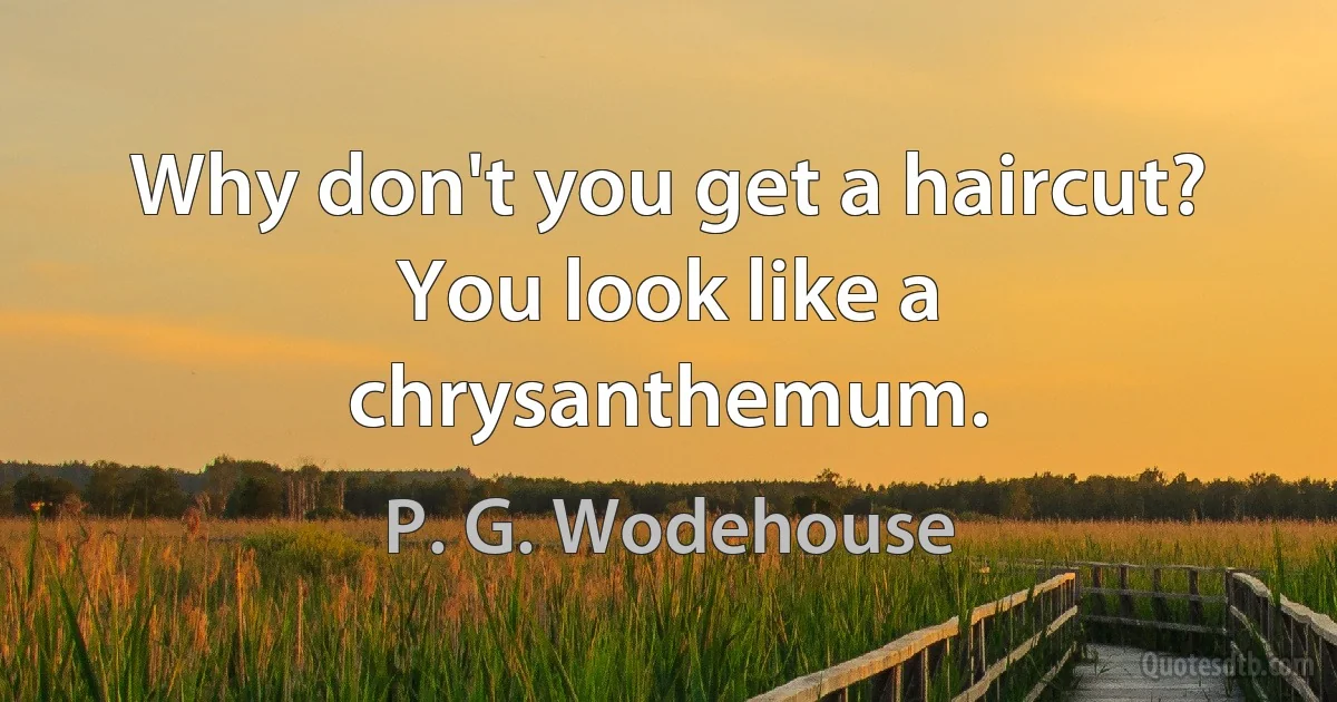 Why don't you get a haircut? You look like a chrysanthemum. (P. G. Wodehouse)