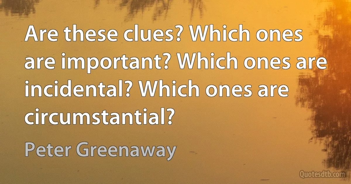 Are these clues? Which ones are important? Which ones are incidental? Which ones are circumstantial? (Peter Greenaway)