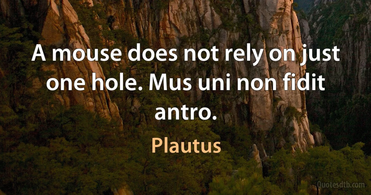 A mouse does not rely on just one hole. Mus uni non fidit antro. (Plautus)