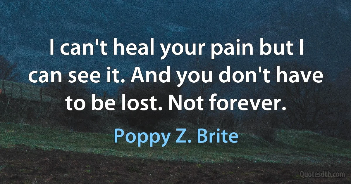 I can't heal your pain but I can see it. And you don't have to be lost. Not forever. (Poppy Z. Brite)