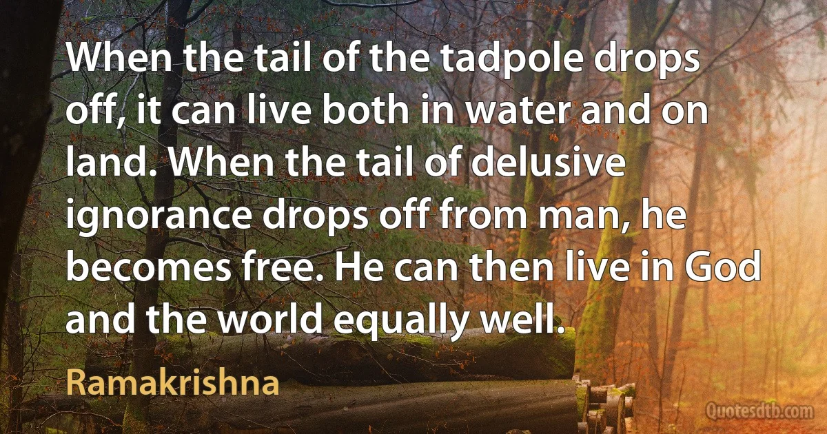 When the tail of the tadpole drops off, it can live both in water and on land. When the tail of delusive ignorance drops off from man, he becomes free. He can then live in God and the world equally well. (Ramakrishna)