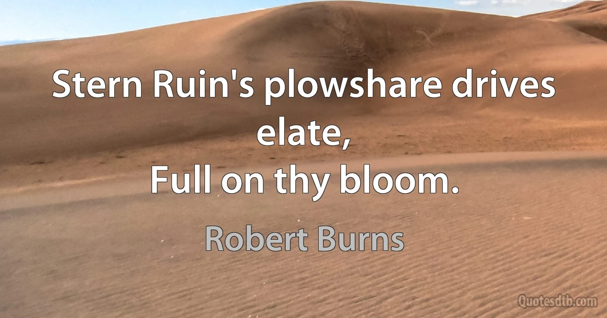 Stern Ruin's plowshare drives elate,
Full on thy bloom. (Robert Burns)