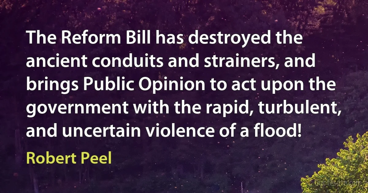 The Reform Bill has destroyed the ancient conduits and strainers, and brings Public Opinion to act upon the government with the rapid, turbulent, and uncertain violence of a flood! (Robert Peel)