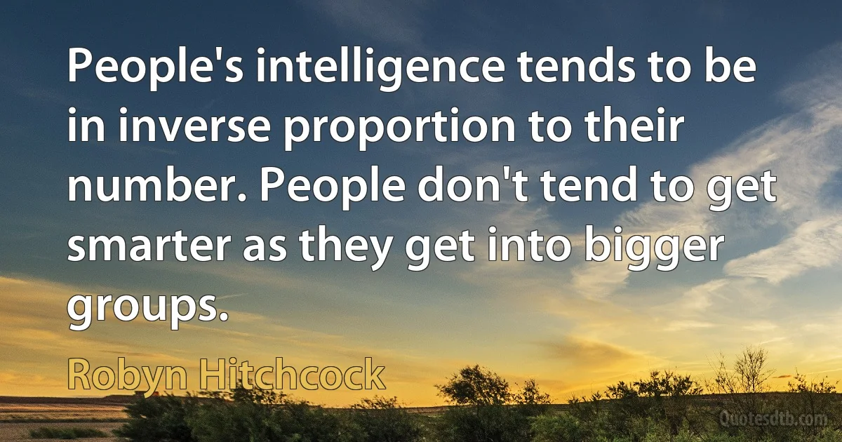 People's intelligence tends to be in inverse proportion to their number. People don't tend to get smarter as they get into bigger groups. (Robyn Hitchcock)