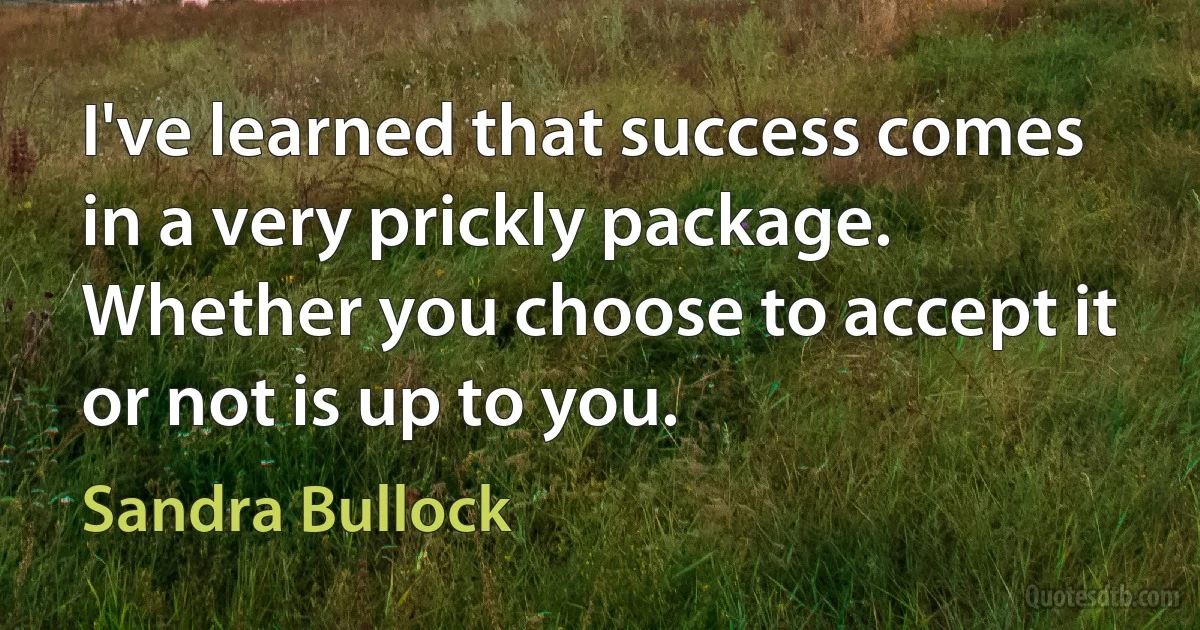 I've learned that success comes in a very prickly package. Whether you choose to accept it or not is up to you. (Sandra Bullock)