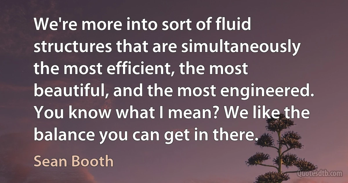 We're more into sort of fluid structures that are simultaneously the most efficient, the most beautiful, and the most engineered. You know what I mean? We like the balance you can get in there. (Sean Booth)