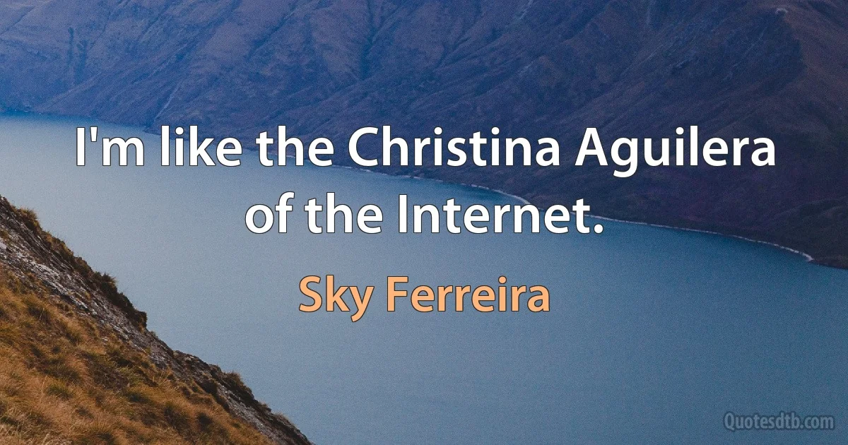 I'm like the Christina Aguilera of the Internet. (Sky Ferreira)