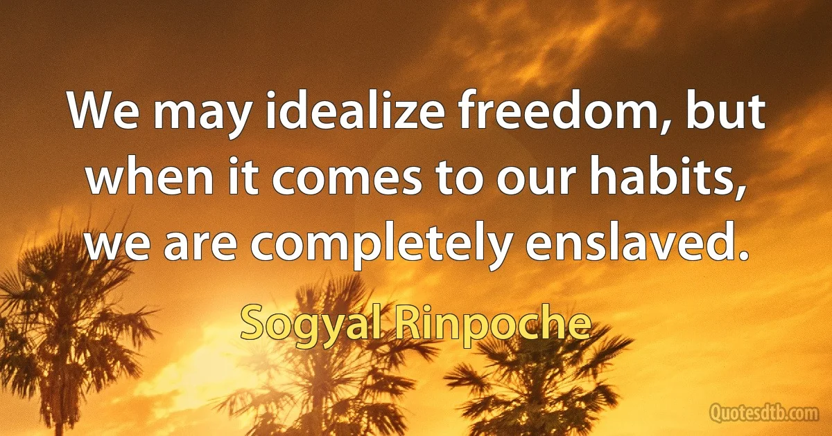 We may idealize freedom, but when it comes to our habits, we are completely enslaved. (Sogyal Rinpoche)