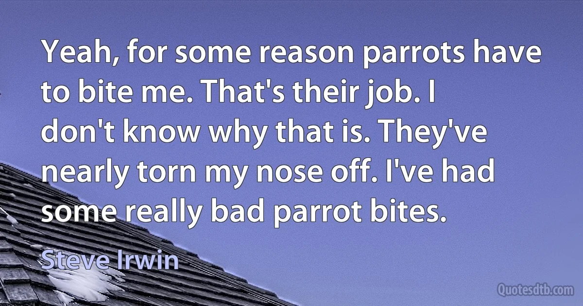 Yeah, for some reason parrots have to bite me. That's their job. I don't know why that is. They've nearly torn my nose off. I've had some really bad parrot bites. (Steve Irwin)