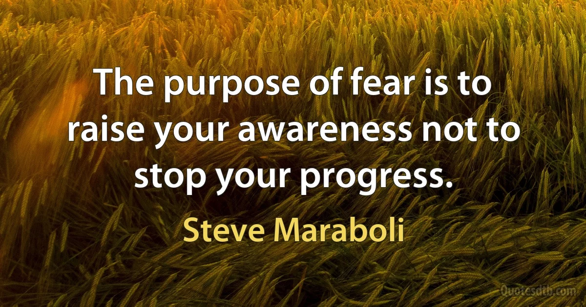 The purpose of fear is to raise your awareness not to stop your progress. (Steve Maraboli)