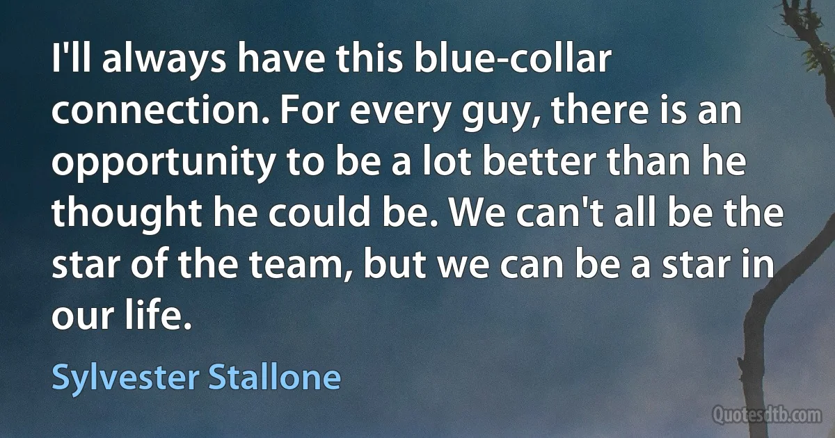 I'll always have this blue-collar connection. For every guy, there is an opportunity to be a lot better than he thought he could be. We can't all be the star of the team, but we can be a star in our life. (Sylvester Stallone)