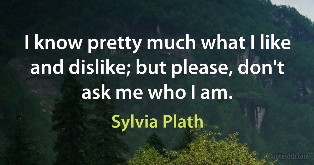 I know pretty much what I like and dislike; but please, don't ask me who I am. (Sylvia Plath)