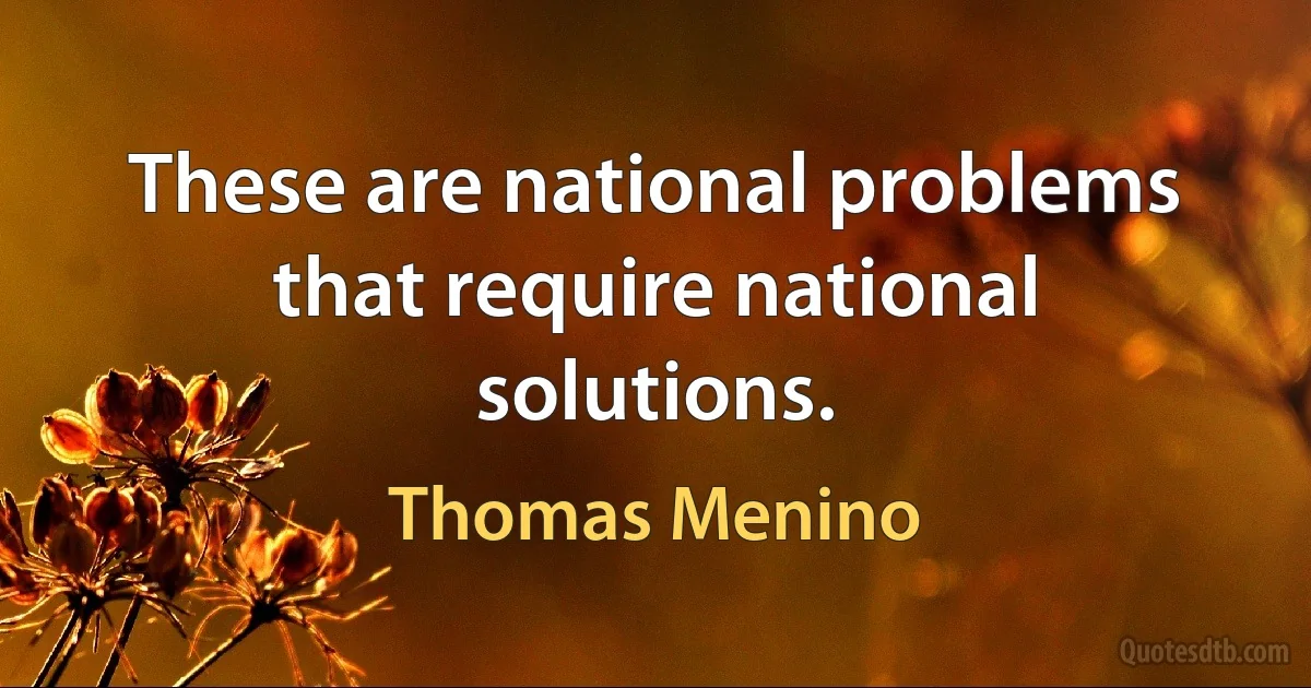 These are national problems that require national solutions. (Thomas Menino)