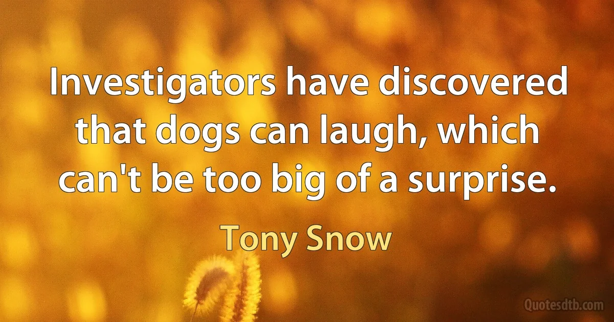 Investigators have discovered that dogs can laugh, which can't be too big of a surprise. (Tony Snow)