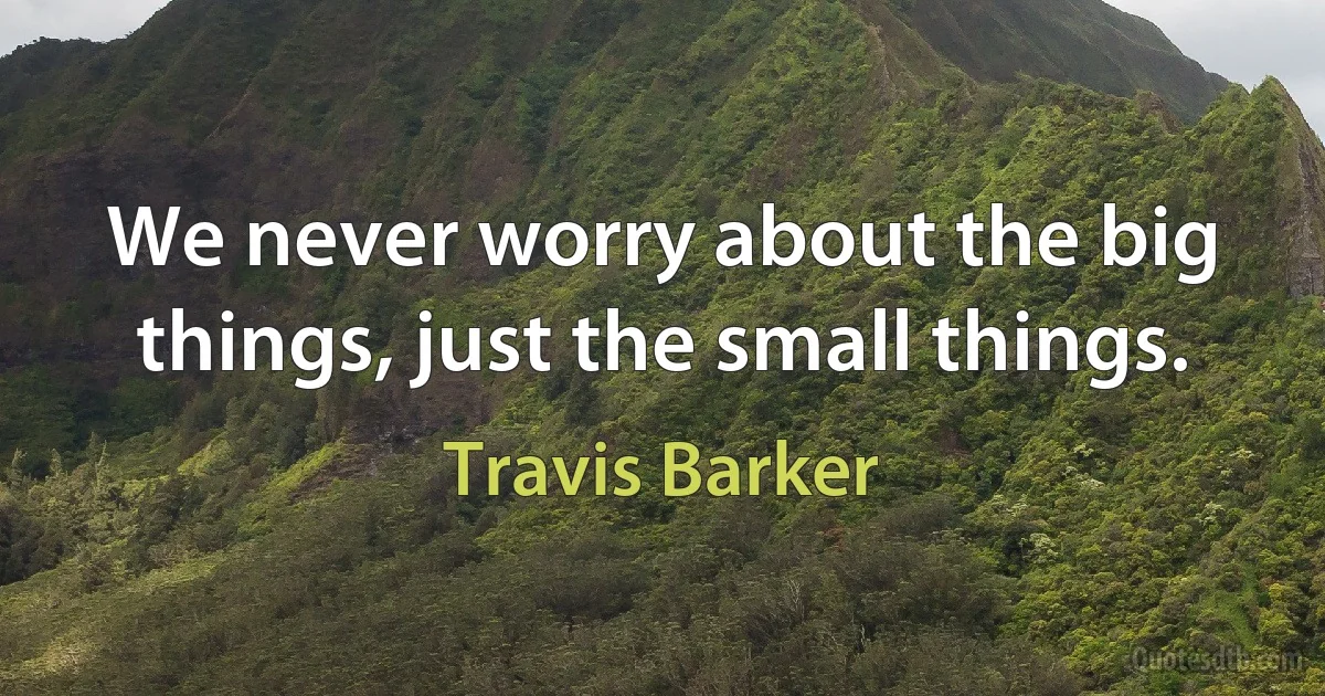 We never worry about the big things, just the small things. (Travis Barker)