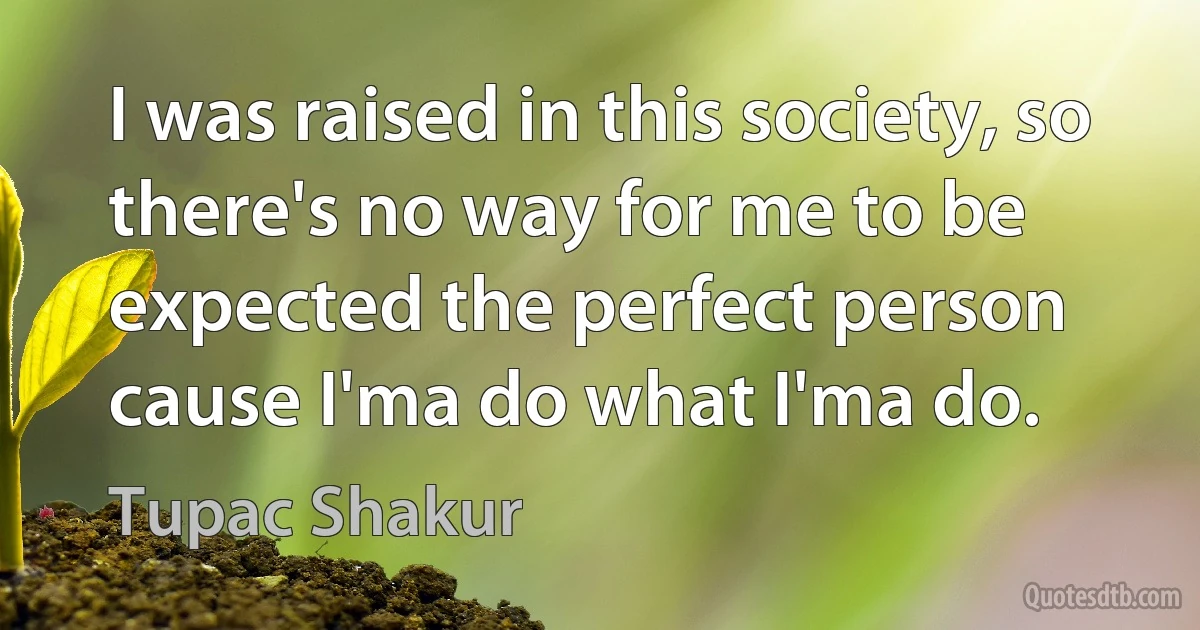 I was raised in this society, so there's no way for me to be expected the perfect person cause I'ma do what I'ma do. (Tupac Shakur)