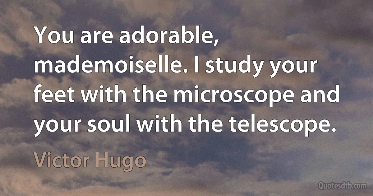 You are adorable, mademoiselle. I study your feet with the microscope and your soul with the telescope. (Victor Hugo)