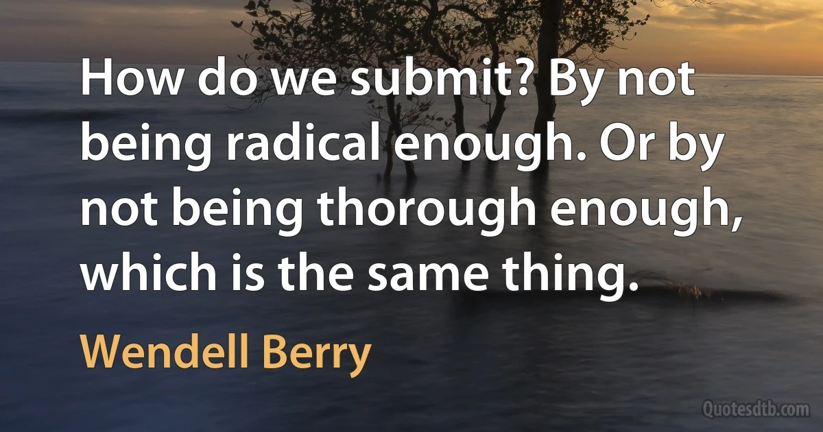 How do we submit? By not being radical enough. Or by not being thorough enough, which is the same thing. (Wendell Berry)