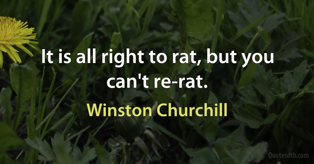 It is all right to rat, but you can't re-rat. (Winston Churchill)