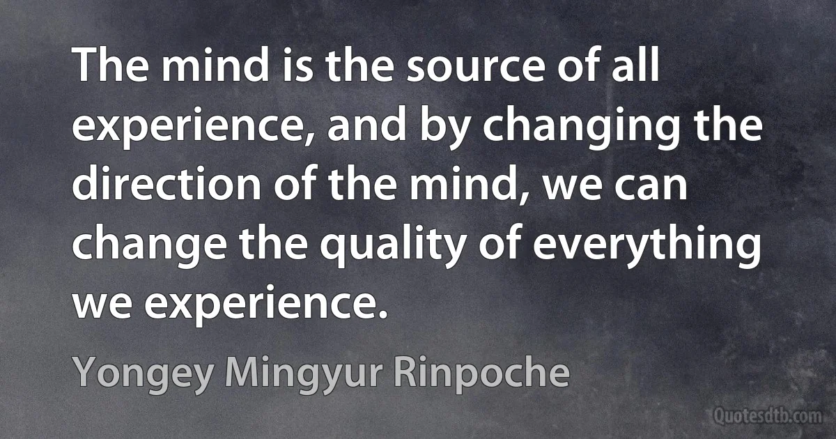 The mind is the source of all experience, and by changing the direction of the mind, we can change the quality of everything we experience. (Yongey Mingyur Rinpoche)