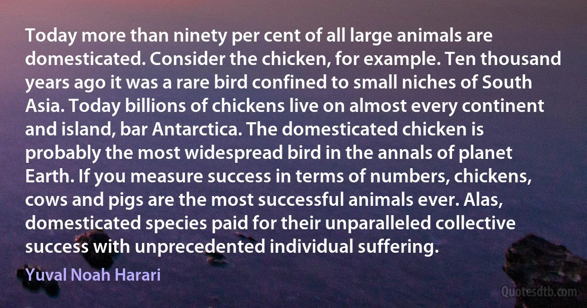 Today more than ninety per cent of all large animals are domesticated. Consider the chicken, for example. Ten thousand years ago it was a rare bird confined to small niches of South Asia. Today billions of chickens live on almost every continent and island, bar Antarctica. The domesticated chicken is probably the most widespread bird in the annals of planet Earth. If you measure success in terms of numbers, chickens, cows and pigs are the most successful animals ever. Alas, domesticated species paid for their unparalleled collective success with unprecedented individual suffering. (Yuval Noah Harari)