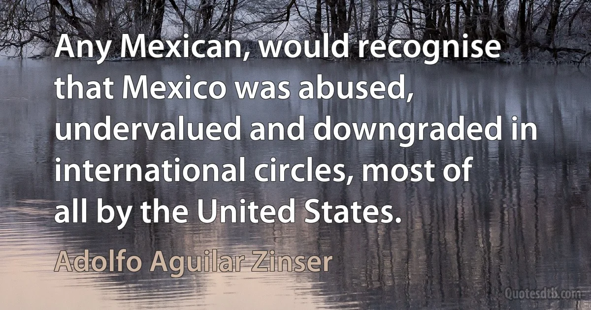 Any Mexican, would recognise that Mexico was abused, undervalued and downgraded in international circles, most of all by the United States. (Adolfo Aguilar Zinser)