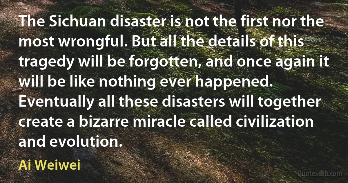 The Sichuan disaster is not the first nor the most wrongful. But all the details of this tragedy will be forgotten, and once again it will be like nothing ever happened. Eventually all these disasters will together create a bizarre miracle called civilization and evolution. (Ai Weiwei)