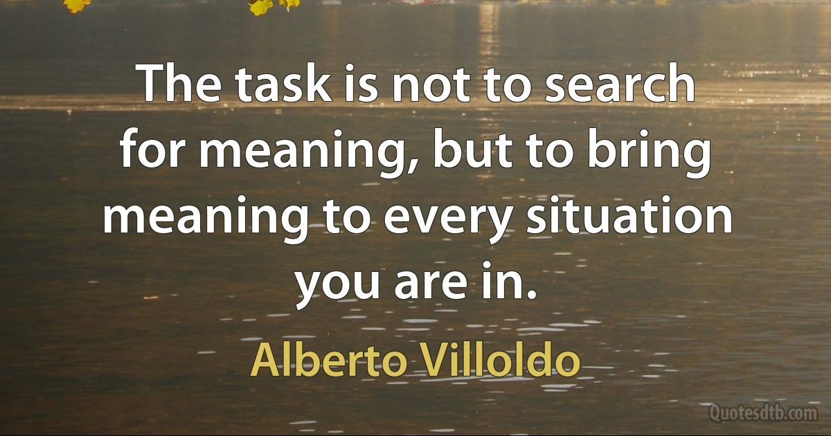 The task is not to search for meaning, but to bring meaning to every situation you are in. (Alberto Villoldo)