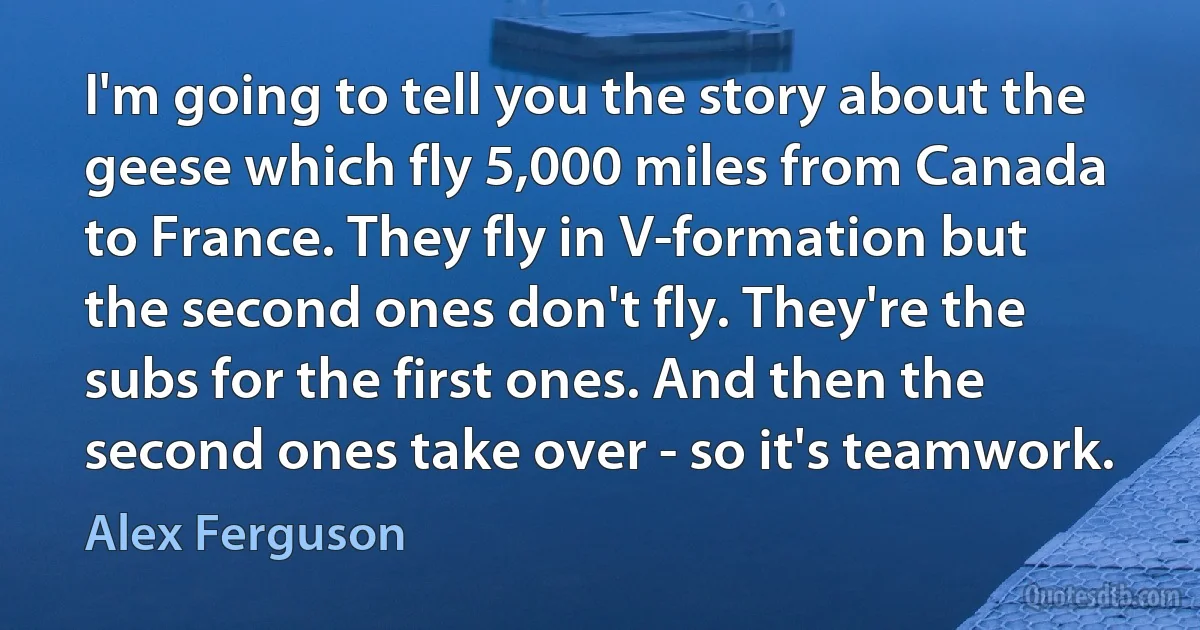 I'm going to tell you the story about the geese which fly 5,000 miles from Canada to France. They fly in V-formation but the second ones don't fly. They're the subs for the first ones. And then the second ones take over - so it's teamwork. (Alex Ferguson)