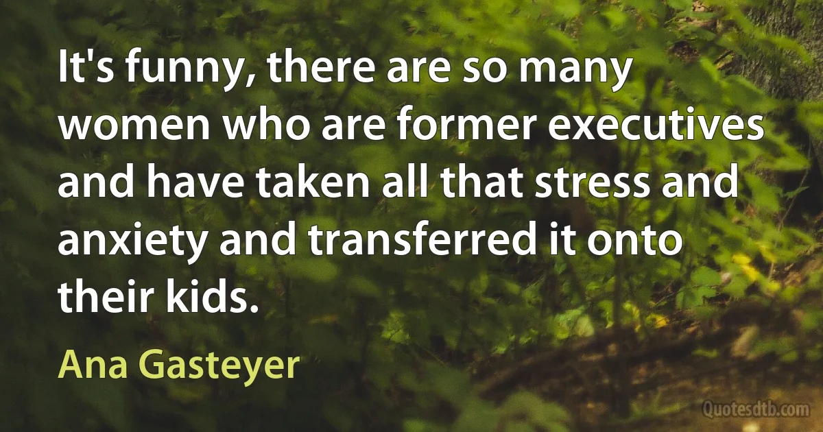 It's funny, there are so many women who are former executives and have taken all that stress and anxiety and transferred it onto their kids. (Ana Gasteyer)