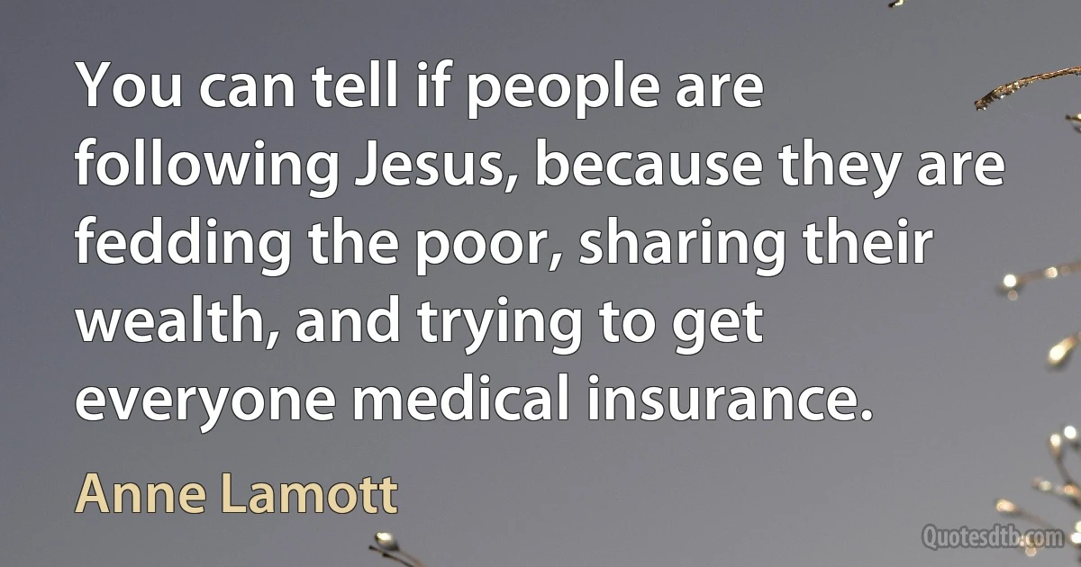 You can tell if people are following Jesus, because they are fedding the poor, sharing their wealth, and trying to get everyone medical insurance. (Anne Lamott)