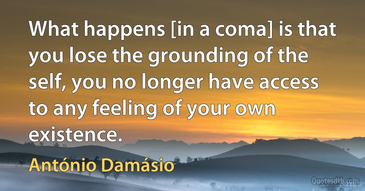 What happens [in a coma] is that you lose the grounding of the self, you no longer have access to any feeling of your own existence. (António Damásio)