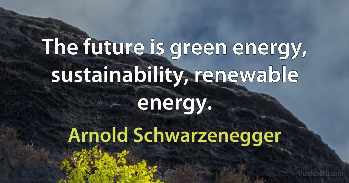 The future is green energy, sustainability, renewable energy. (Arnold Schwarzenegger)