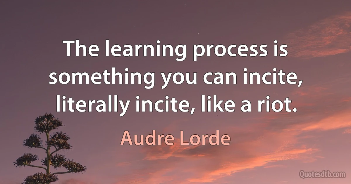 The learning process is something you can incite, literally incite, like a riot. (Audre Lorde)