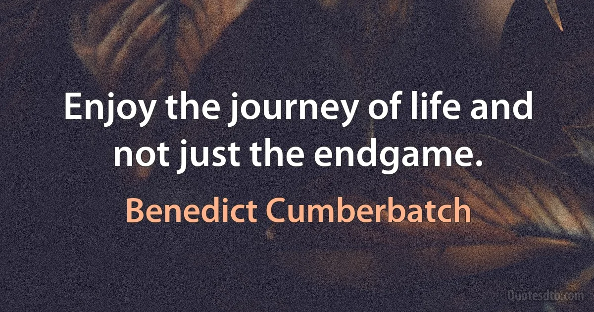 Enjoy the journey of life and not just the endgame. (Benedict Cumberbatch)