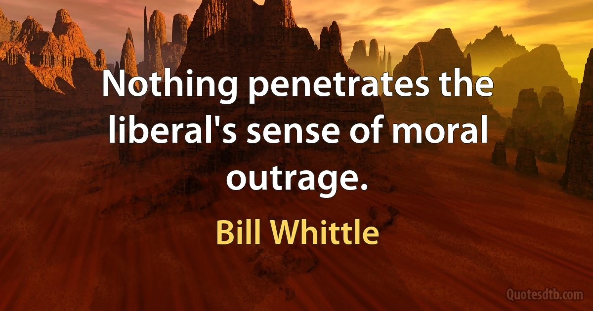 Nothing penetrates the liberal's sense of moral outrage. (Bill Whittle)