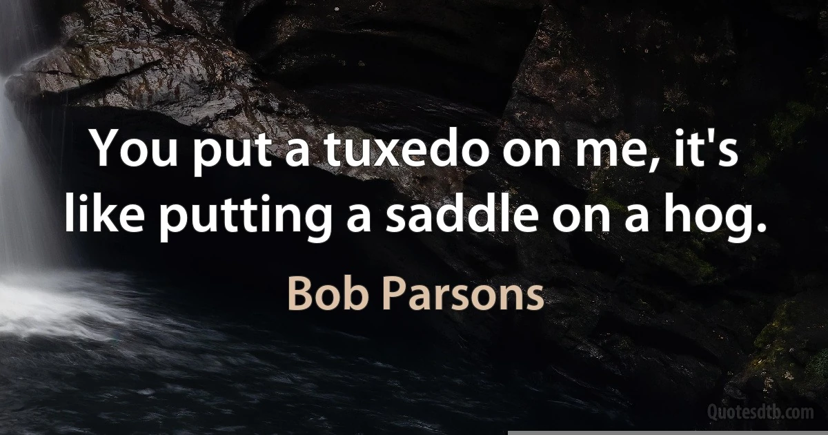 You put a tuxedo on me, it's like putting a saddle on a hog. (Bob Parsons)