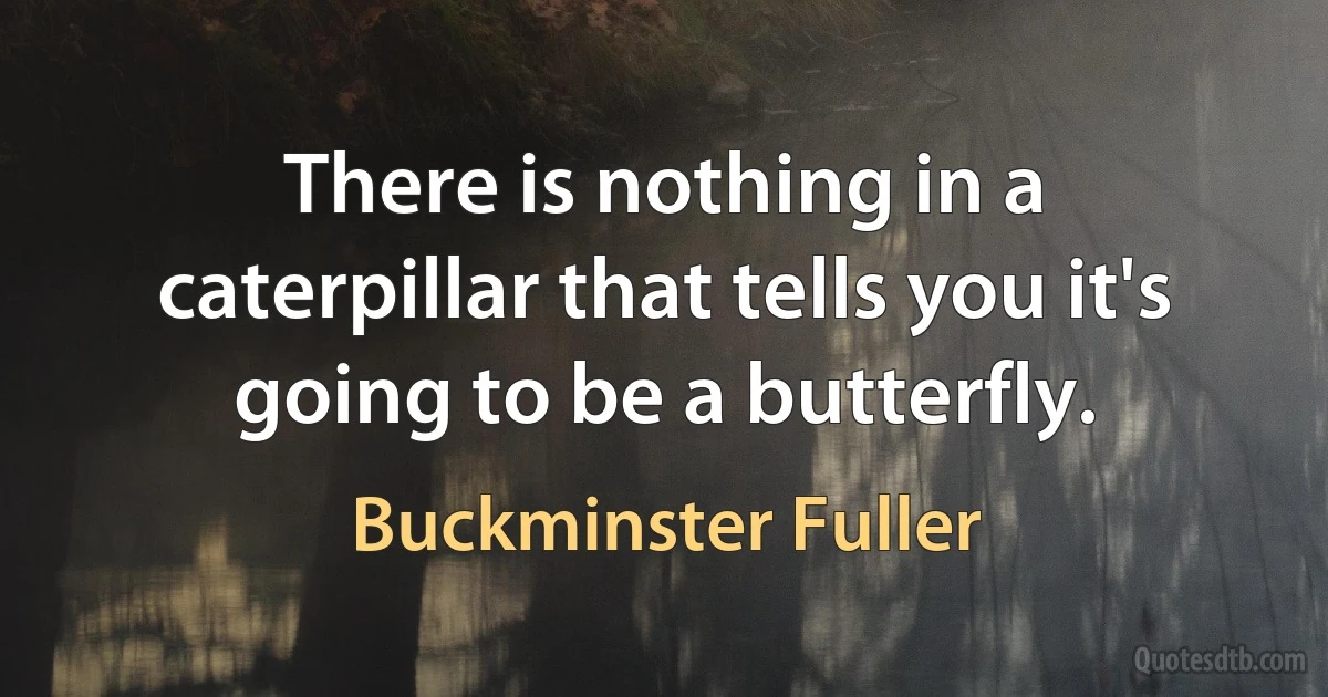 There is nothing in a caterpillar that tells you it's going to be a butterfly. (Buckminster Fuller)