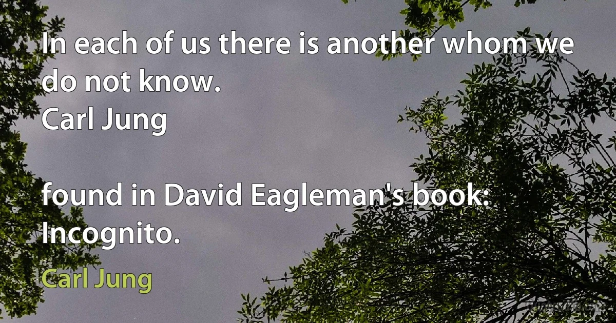 In each of us there is another whom we do not know.
Carl Jung

found in David Eagleman's book: Incognito. (Carl Jung)