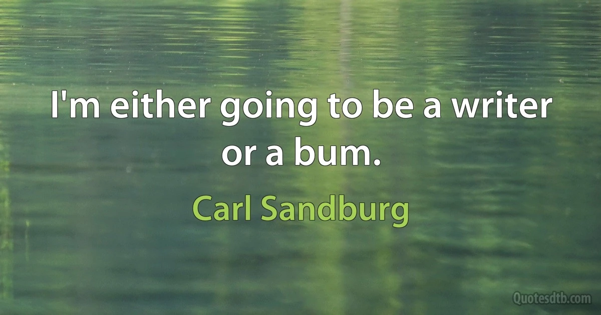 I'm either going to be a writer or a bum. (Carl Sandburg)