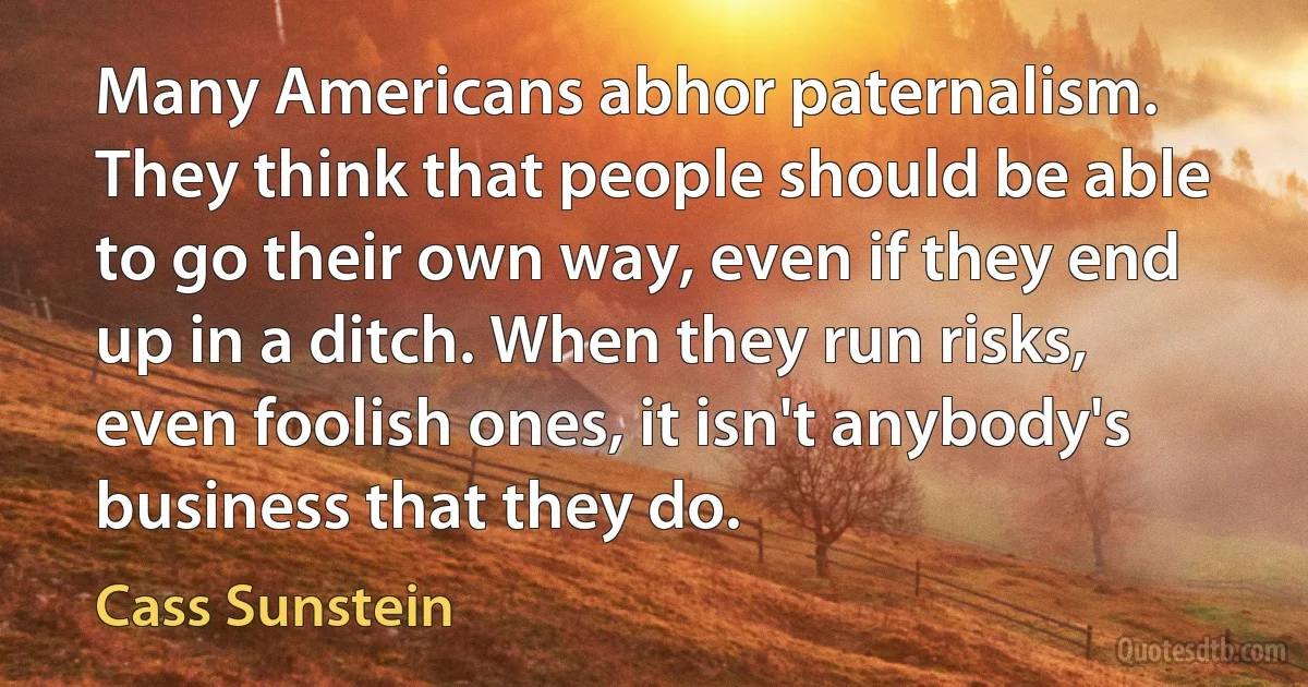 Many Americans abhor paternalism. They think that people should be able to go their own way, even if they end up in a ditch. When they run risks, even foolish ones, it isn't anybody's business that they do. (Cass Sunstein)