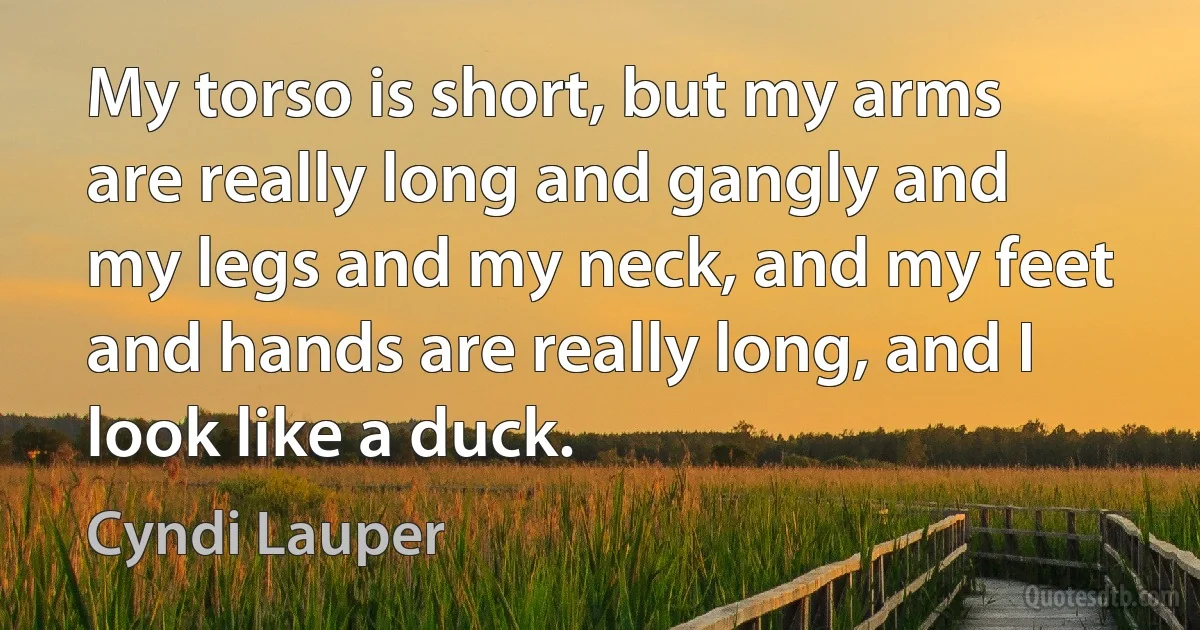 My torso is short, but my arms are really long and gangly and my legs and my neck, and my feet and hands are really long, and I look like a duck. (Cyndi Lauper)