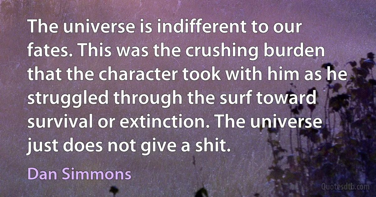 The universe is indifferent to our fates. This was the crushing burden that the character took with him as he struggled through the surf toward survival or extinction. The universe just does not give a shit. (Dan Simmons)