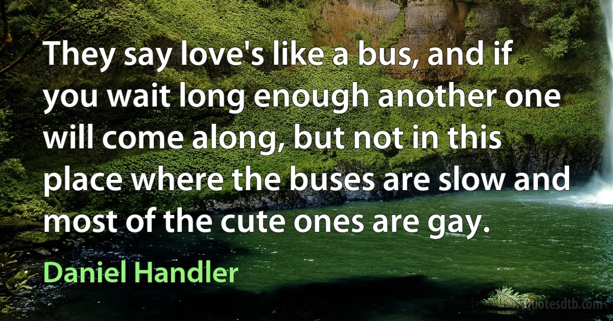 They say love's like a bus, and if you wait long enough another one will come along, but not in this place where the buses are slow and most of the cute ones are gay. (Daniel Handler)